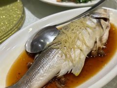 破布子午鱼-光头匠