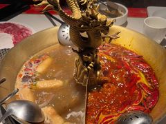 -小龙翻大江文化火锅(宽窄店)
