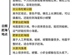 -日照世帆赛基地