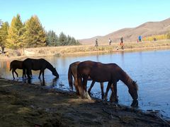 -塞罕坝国家级自然保护区