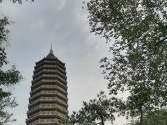 -西海子公园