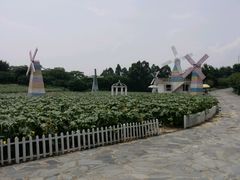-松山湖梦幻百花洲