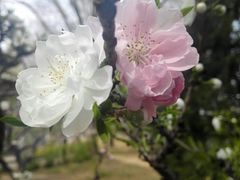 -玲珑塔公园