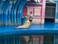 -华夏文旅海洋公园