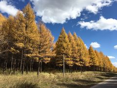 -塞罕坝国家级自然保护区