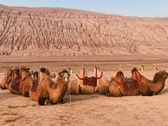 -火焰山景区(火焰山镇)