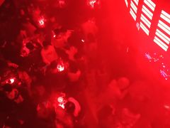 -Orangutan Bunker猩猩地堡酒吧(兰桂坊店)