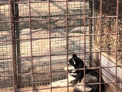 -河北村民俗体验园