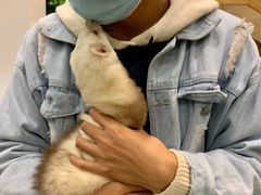 -藦茜花园宠物主题亲子互动体验馆(国顺东路店)