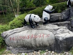 -都江堰中华大熊猫苑