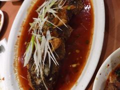 -曾牛肉