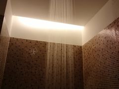 -丽思卡尔顿酒店泳池(金融街店)