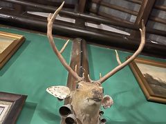 -花·fleur古董西餐厅(西城夜未央店)