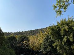 -九龙潭景区