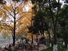 -成都市活水公园