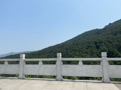 -铁山坪森林公园