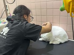 -FAELING PETS美天灵宠物(富力广场店)
