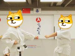 -少年超人空手道馆(优品道中心)