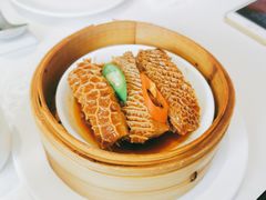 沙爹金钱肚-维园悦谱·海派家常菜(乌鲁木齐南路店)