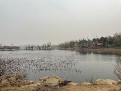 -长春市南湖公园