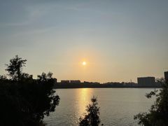 -立新湖公园