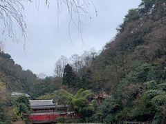 -黔灵山公园