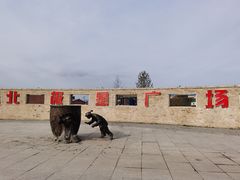 -北极星广场