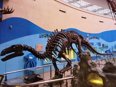 -陕西自然博物馆