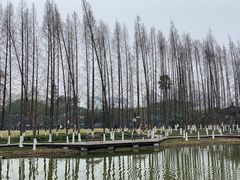 -江心屿景区