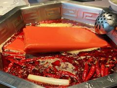 -蜀九香火锅(九眼桥店)