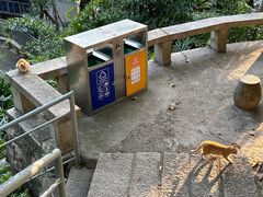 -鸿山公园