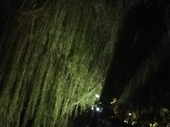 -苏堤停车场