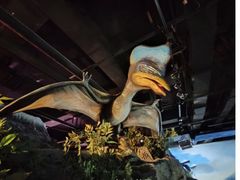 -陕西自然博物馆