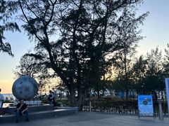 -西涌国际滨海旅游区