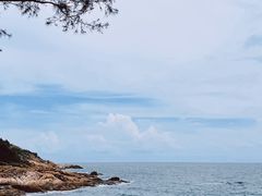 -广东惠东海龟国家级自然保护区