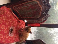 宋记便宜坊(二七店)-宋记便宜坊(二七店)