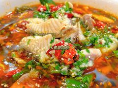 -鸽鸟轩(石岐店)