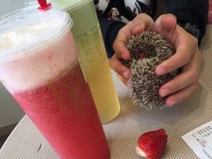 -奈雪的茶(南山大冲一期店)