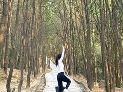 -火炉山森林公园
