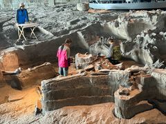 -自贡恐龙博物馆