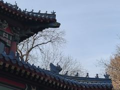 -灵谷景区