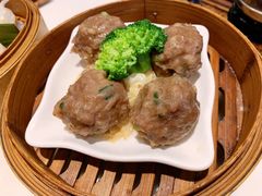 陈皮香茜牛肉丸-虾饺妹·酒家(海珠广场店)