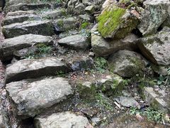 -杨家堂村