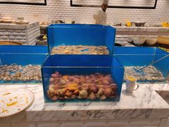 -沈阳和平艾美酒店新食谱西餐厅