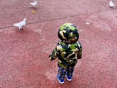 -泉城欧乐堡海洋极地世界