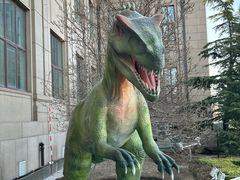 -国家自然博物馆