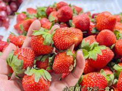 -港华水果街(港华广场店)