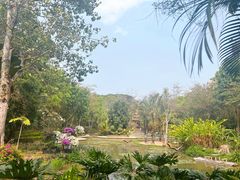 -曼听御花园