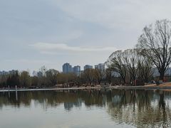 -太阳宫公园