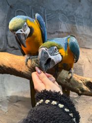 -Zoolung Zoolung动物主题公园(海信广场店)